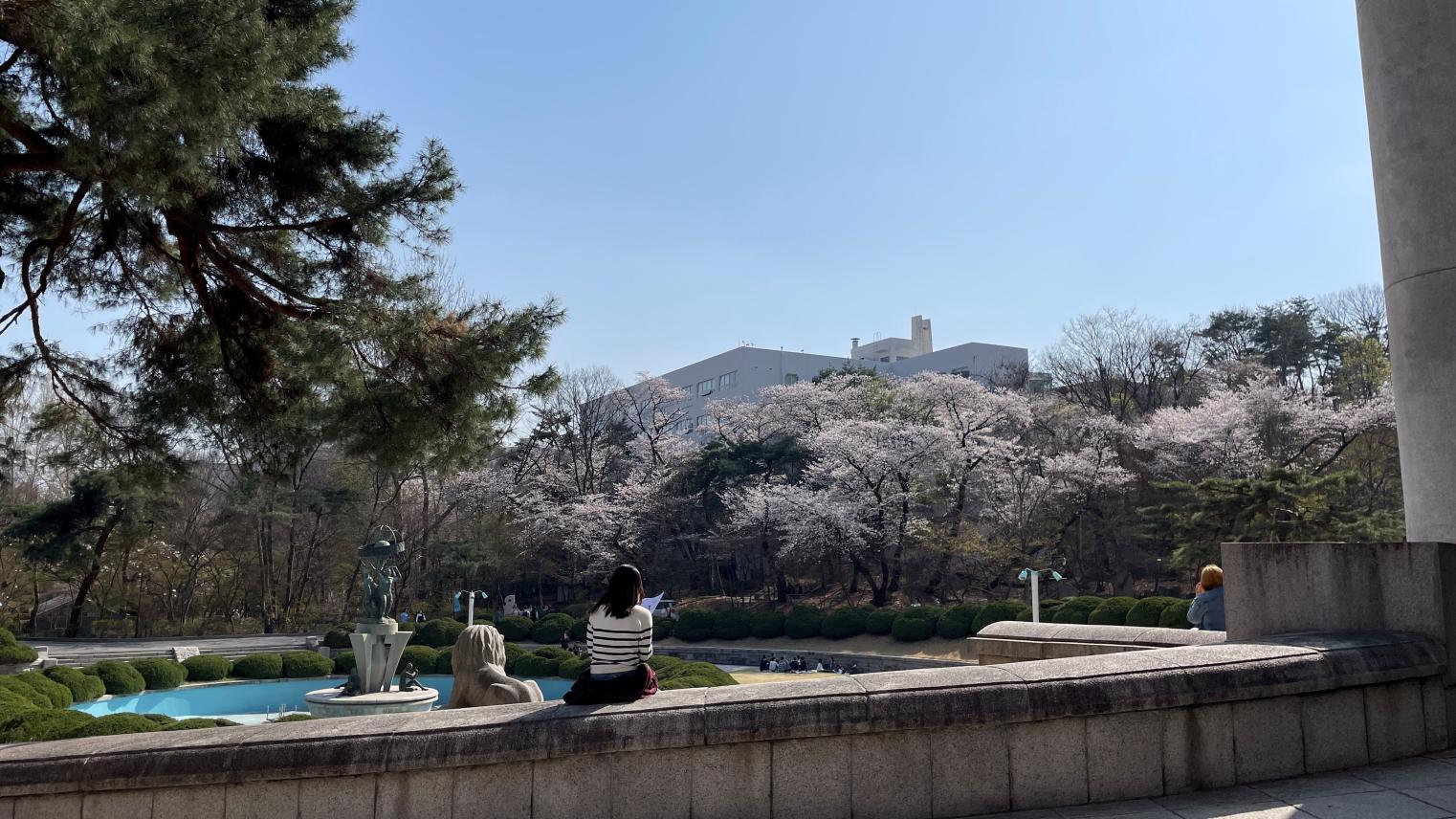 2025 korea update